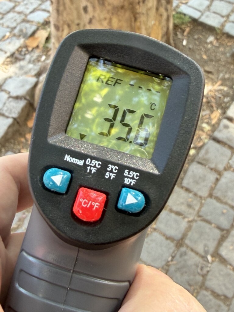 Temperatur unter Baum